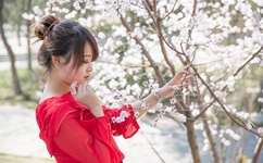 FREE性满足VIDEOSHD